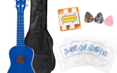 Music can help special education instructors reach students with disabilities, but experts say music therapy programs remain relatively rare