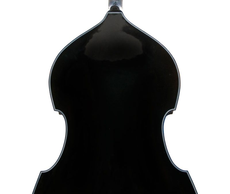 Back view of a black cello against a white background.