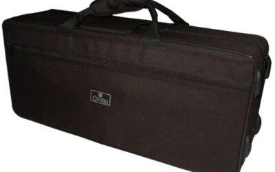 Rights Passengers Have On Taking Musical Instruments On Planes