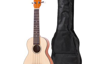 Putting Musical Instruments Into The Hands Of The Very Young