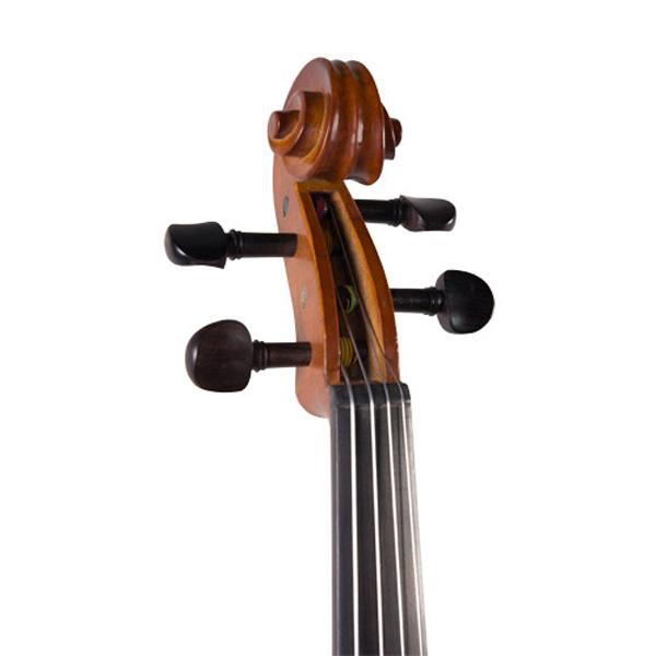 Close-up of a violin scroll and tuning pegs on a white background.