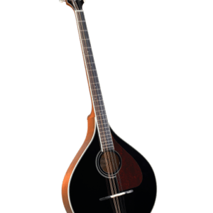 A classic mandolin with a dark body and wood trim.