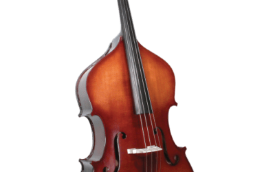 Musician Union Lobbies over Instrument Transport