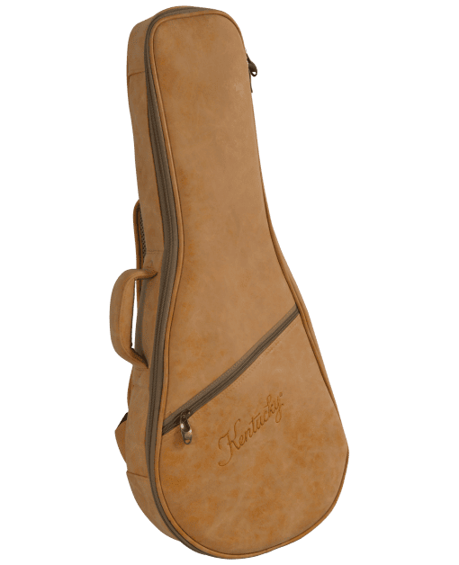 Kentucky KM-140 Standard A-Model Mandolin – Vintage Sunburst - Image 3